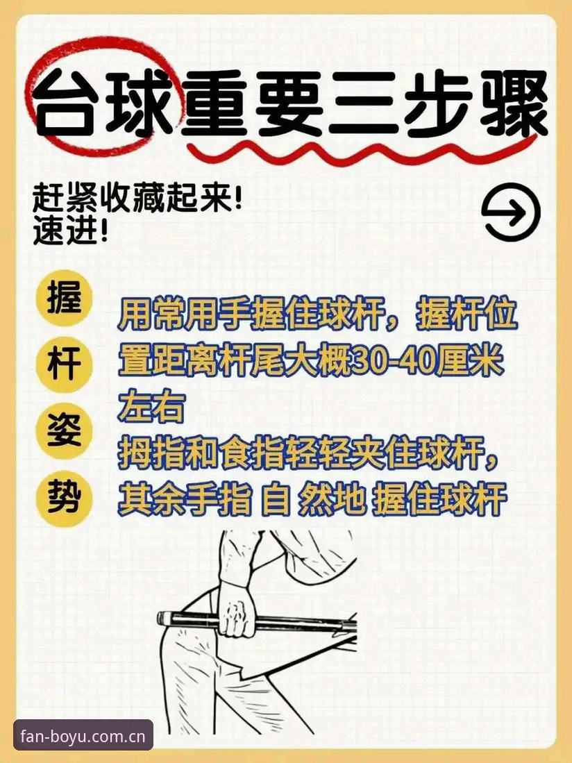 博鱼体育综合资讯教程新手完整指南：从入门到精通的操作手册